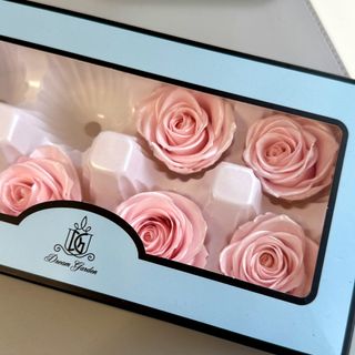 (Category: ) located in . Submitted by bloominggallerysg (Listing ID 1330960473, Image 1). Description: .