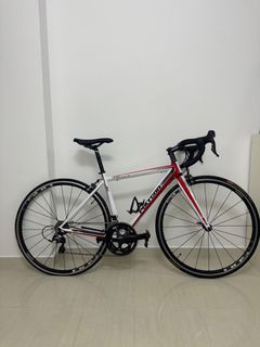 100+ affordable 