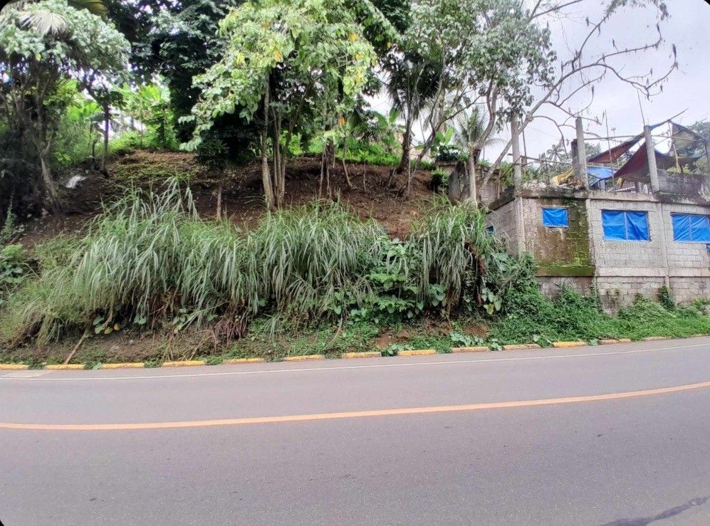 Sacrifice Sale Busay Lot (Category: Lot) located in Cebu City. Submitted by clickbrokerbestproperty_14344 (Listing ID 1330937280, Image 1). Description: Sacrifice Sale lot in busay along the main road for only 1.5M all in 308 sqm but total will be 300sqm only for road widening owner is senior citizen can be built like apartment , restaurant resthouse.