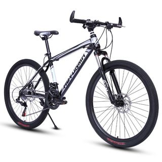 單車 電動單車 折疊車 收藏品 3