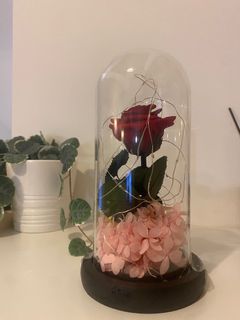 (Category: ) located in . Submitted by bnd.laeticia (Listing ID 1331159945, Image 1). Description: .