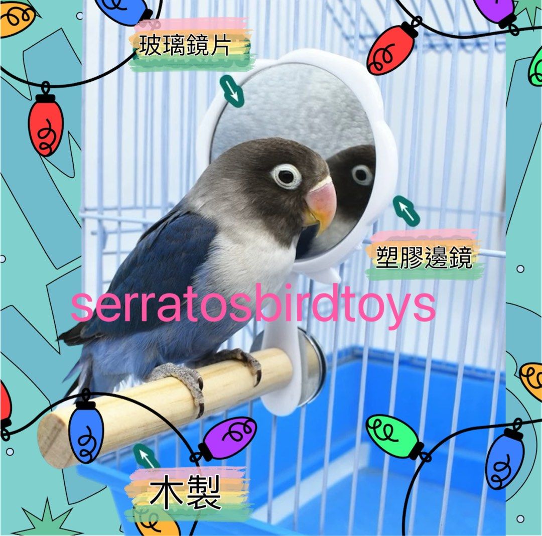 NEW) 鸚鵡鳥雀仔用品樂趣用品訓練道具獎勵解悶學說話互動平台解悶鸚鵡寵物雀仔站桿啃咬玩具玄鳳Cockatiel 愛情鳥lovebirds太平洋鸚鵡