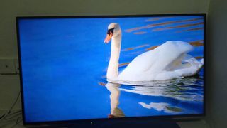 (Category: ) located in . Submitted by mrmeeto (Listing ID 1331060651, Image 1). Description: .