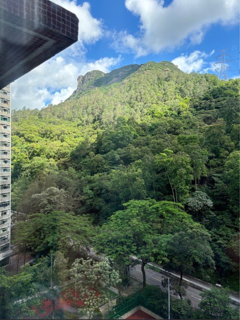 黃大仙 公屋 (未補地價) 實用443呎 綠表 白居二64080052487042110