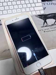 由 b1069032 (刊登 ID 1331390557，圖片 1) 提交，位於 的 (類別：)，說明：。