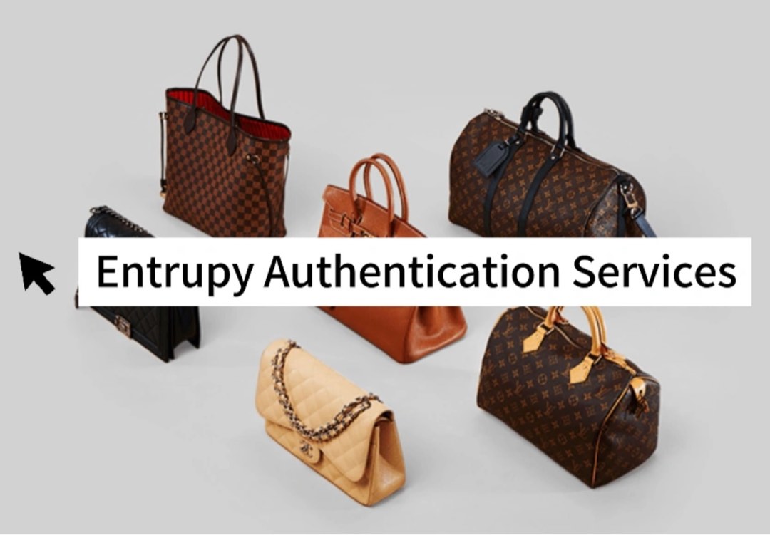 Bag Entrupy Authentication Services LV Hermes Dior Gucci YSL Celine Others