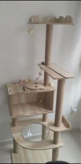 (Category: ) located in . Submitted by lifechanging (Listing ID 1331384004, Image 1). Description: .