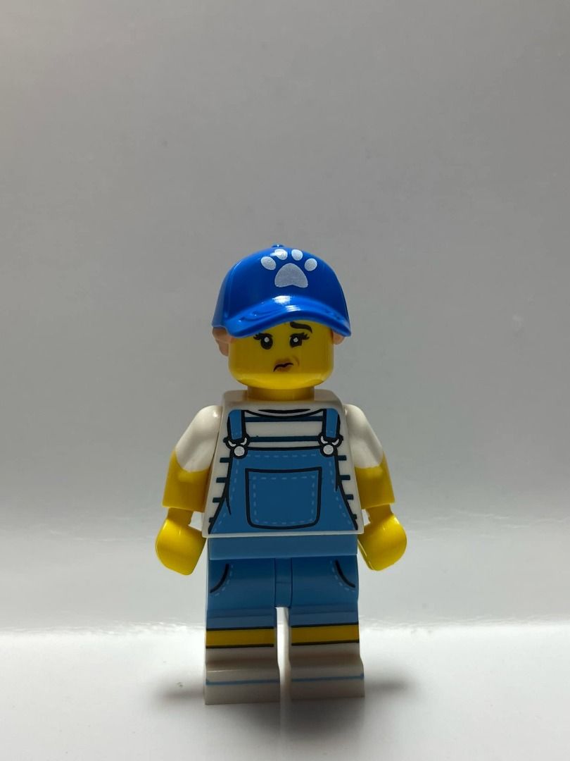 LEGO Dog Sitter Series 19 Complete Set with Stand and Accessories Item No col19 9 Hobbies Toys Toys Games on Carousell