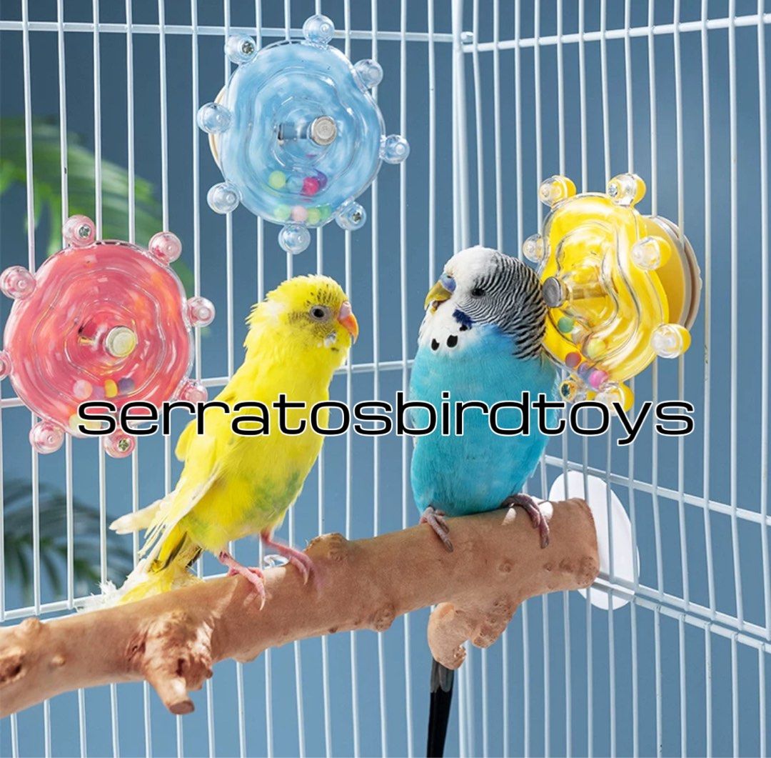 NEW) 鸚鵡鳥雀仔用品有趣發聲旋轉輪樂趣用品訓練道具獎勵解悶學說話互動平台解悶鸚鵡寵物雀仔站桿啃咬玩具玄鳳