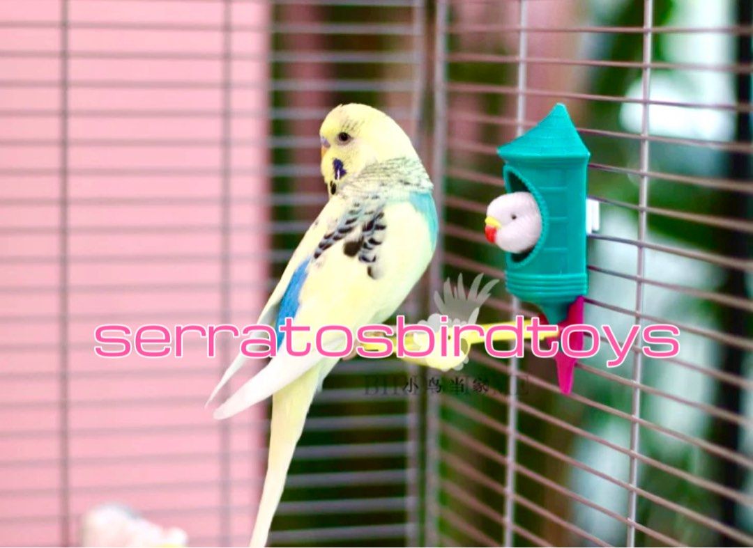 NEW) 鸚鵡鳥頭搖擺玩具鳥雀仔用品覓食樂趣用品訓練道具獎勵解悶學說話互動平台解悶鸚鵡寵物雀仔站桿啃咬的陪伴假鳥籠中鳥玩具