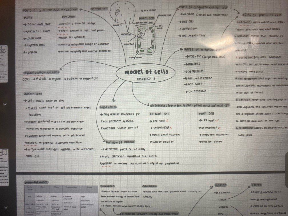 Sec 2 Science Mindmap notes (Category: Textbooks) located in Singapore. Submitted by fritata25 (Listing ID 1331301273, Image 1). Description: very concise and good for revision! will send pdf of below chapters model of cells particulate nature of matter atoms and molecules forces in nature transfer of heat energy and its effects chemical changes interactions with ecosystems human digestive system human sexual reproduction system.