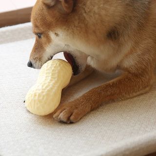 （分類：）位於 。 由 hapibid 提交（商品編號 1331542047，圖片 1）。簡介： 。