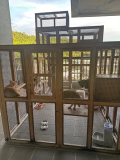 (Category: ) located in . Submitted by misca2019 (Listing ID 1331490749, Image 1). Description: .