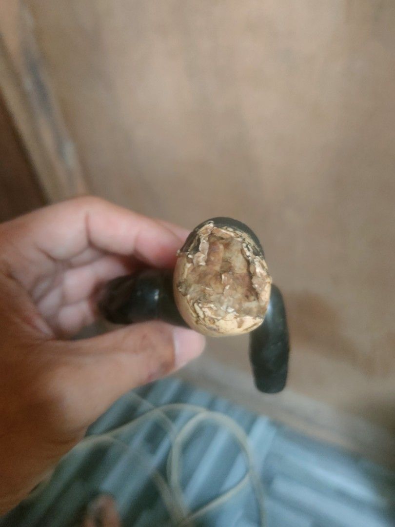ghostbuster vintage figure (Category: Figurines & Statues) located in Pasig City. Submitted by laruannijearly (Listing ID 1331404422, Image 3). Description: issue missing 1hand may issue din sa isa kamay un sa top head diko alam if ganyan ba tlga sya or issue din selling as is.