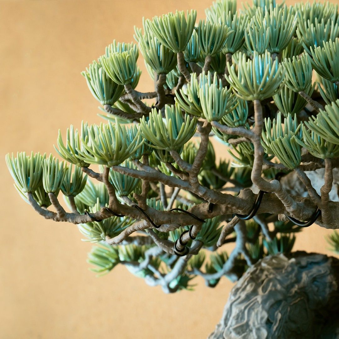 NEIGHBORHOOD SRL BANDAI BONSAI 盆栽 s-l400.jpg
