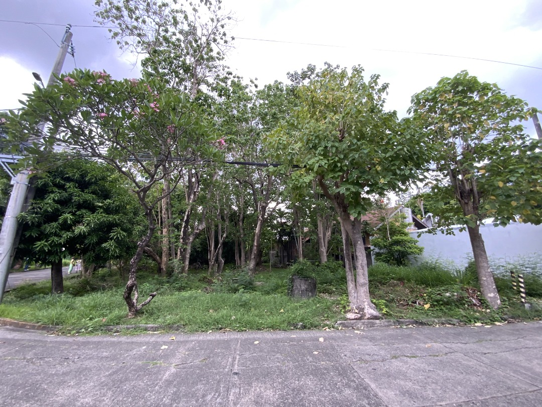 (Category: ) located in . Submitted by jasontsego (Listing ID 1331404069, Image 1). Description: .
