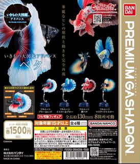 （分類：）位於 。 由 taikabid 提交（商品編號 1331612527，圖片 1）。簡介： 。