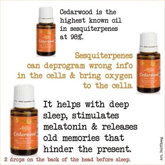 Cedarwood Essential Oil (Category: Body Care) located in Baguio. Submitted by essentially_yours (Listing ID 1331711962, Image 1). Description: Brand New and Sealed..