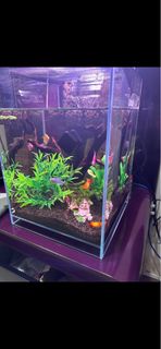 (Category: ) located in . Submitted by antonliauw (Listing ID 1331699028, Image 1). Description: .