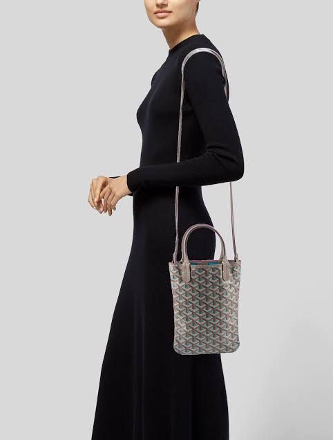 Goyard Goyardine Pink Poitiers Claire Voie Mini Tote Bag Limited Edition Luxury Bags Wallets on Carousell
