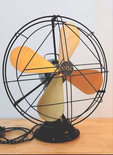 FAN tastic Collection item 2