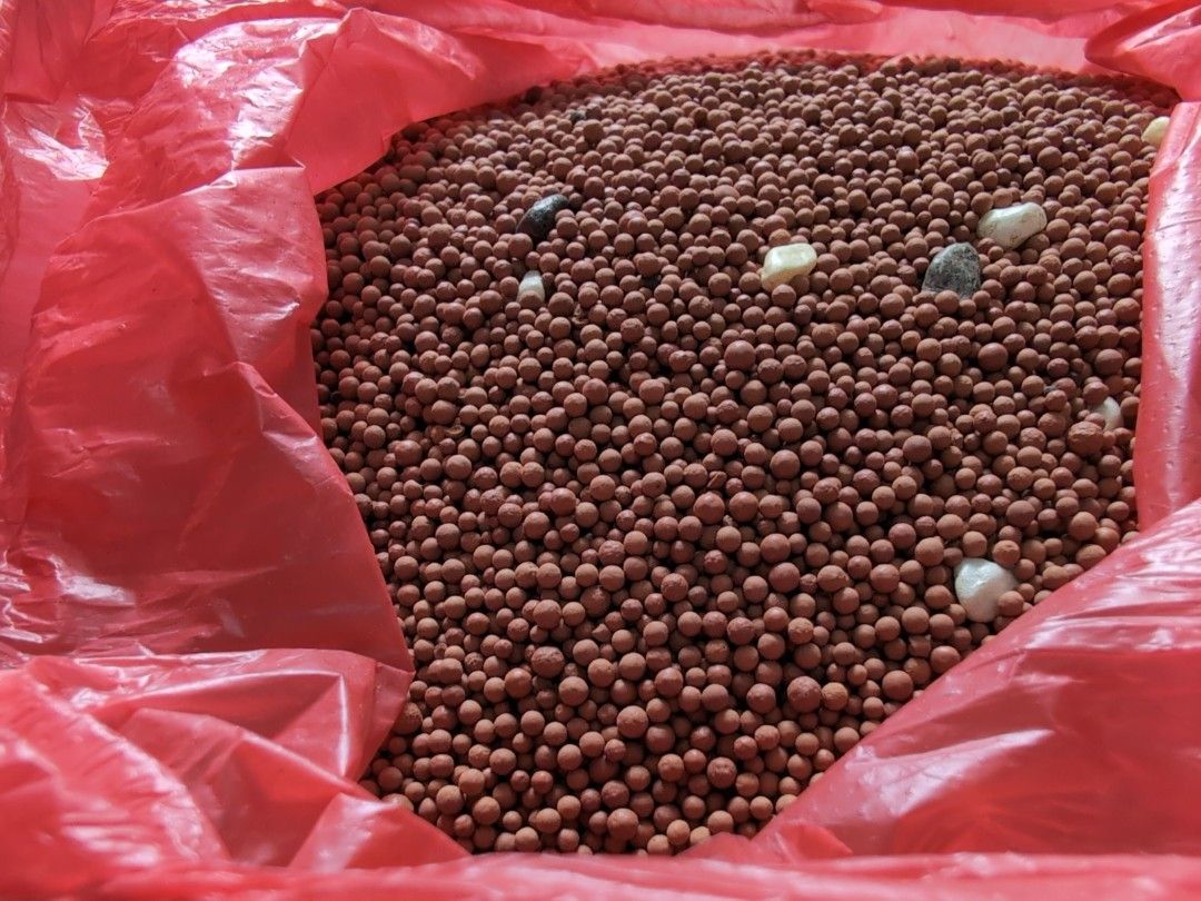 Tiny leca balls (Category: Pots & Planters) located in Singapore. Submitted by revilo75 (Listing ID 1331597799, Image 2). Description: Used in fish tank Very clean NB: Left one sold.