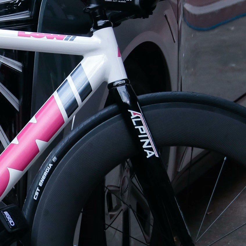 Alpina carbon fork Sports Equipment Bicycles Parts Bicycles on Carousell