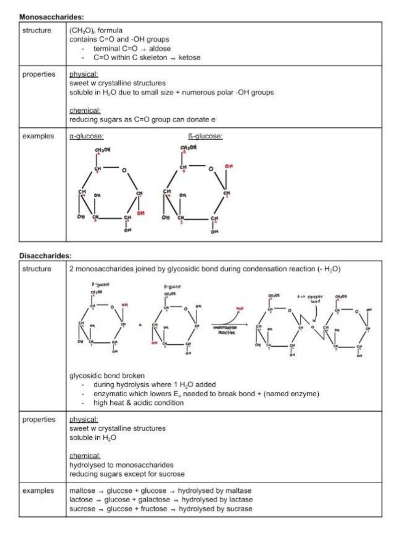 bio a level notes :" (Category: Assessment Books) located in Singapore. Submitted by randomdude1022 (Listing ID 1328669865, Image 1). Description: bio notes i used to study for a level last year referenced from EJC notes+ past A level / prelim papers to get A for bio:" all topics inside.