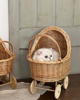 （分類：）位於 。 由 damnhk 提交（商品編號 1328759411，圖片 1）。簡介： 。