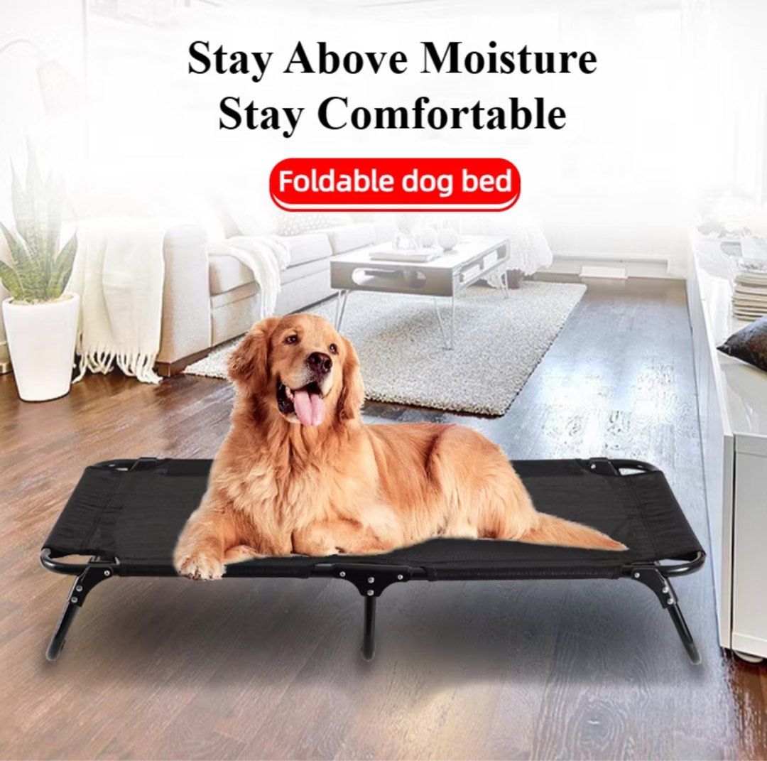 Pet foldable bed (Category: Homes & Other Pet Accessories) located in Singapore. Submitted by and3rs (Listing ID 1328682021, Image 2). Description: M size .