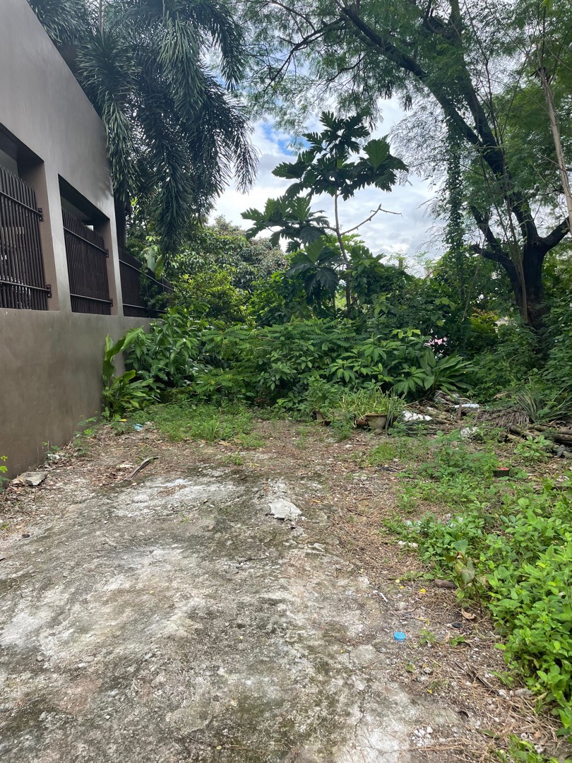 (Category: ) located in . Submitted by genjimenez (Listing ID 1152206080, Image 1). Description: .
