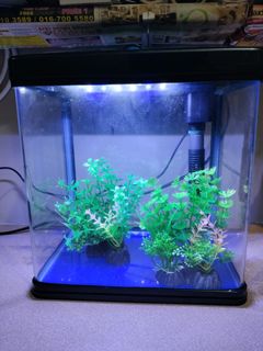 (Category: ) located in . Submitted by wjlim123 (Listing ID 1331894330, Image 1). Description: .