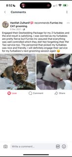 (Category: ) located in . Submitted by furries_inc (Listing ID 1331744601, Image 1). Description: .