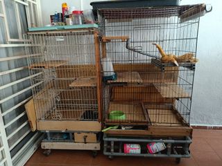 (Category: ) located in . Submitted by paanwalker (Listing ID 1331766855, Image 1). Description: .