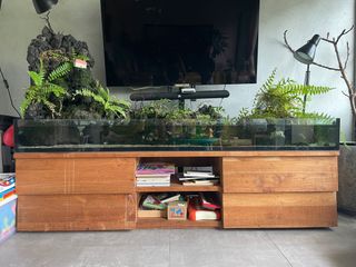 (Category: ) located in . Submitted by melyeosl (Listing ID 1331827773, Image 1). Description: .