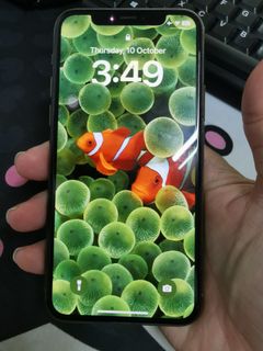 (Category: ) located in . Submitted by calories2020 (Listing ID 1331871297, Image 1). Description: .