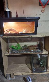 (Category: ) located in . Submitted by murphy_agnes (Listing ID 1331779630, Image 1). Description: .