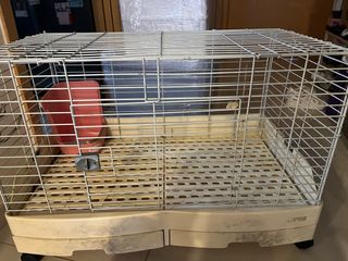 (Category: ) located in . Submitted by gg1516 (Listing ID 1331740441, Image 1). Description: .