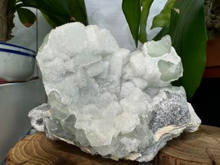 （分類：）位於 。 由 puff0808 提交（商品編號 1331944096，圖片 1）。簡介： 。