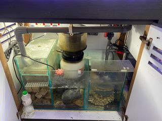 (Category: ) located in . Submitted by eugenekips (Listing ID 1332023612, Image 1). Description: .