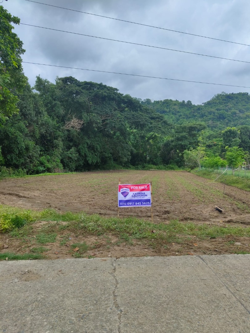(Category: ) located in . Submitted by juanpatag (Listing ID 1331948856, Image 1). Description: .