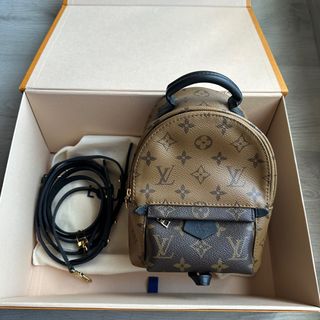 Lv palm spring mini singapore shop
