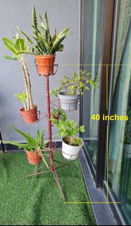 (Category: ) located in . Submitted by mohhas (Listing ID 1332029005, Image 1). Description: .