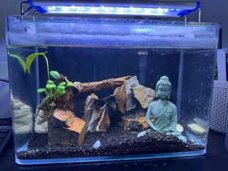 (Category: ) located in . Submitted by vprgilli007 (Listing ID 1332051479, Image 1). Description: .