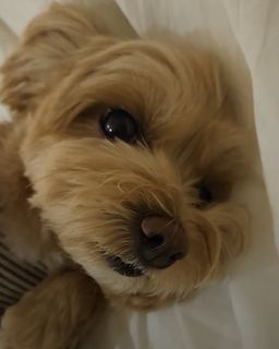(Category: ) located in . Submitted by mr01220 (Listing ID 1332175951, Image 1). Description: .