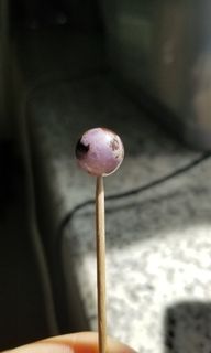 （分類：）位於 。 由 _gogo 提交（商品編號 1332307361，圖片 1）。簡介： 。