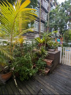(Category: ) located in . Submitted by masregis (Listing ID 1332362615, Image 1). Description: .