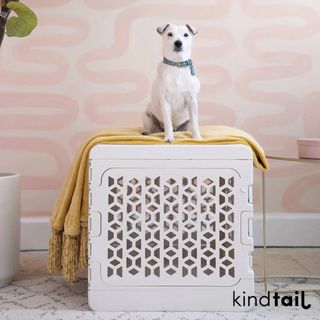 (Category: ) located in . Submitted by doglover3333 (Listing ID 1332290991, Image 1). Description: .