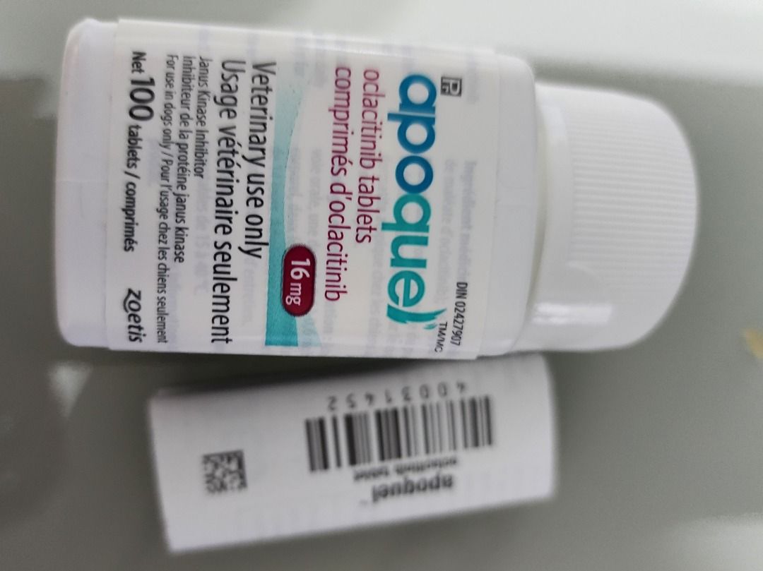Expired apoquel best sale