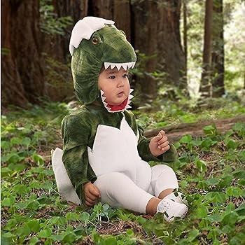 Brand new Halloween baby dinosaur costume for babies (6-12